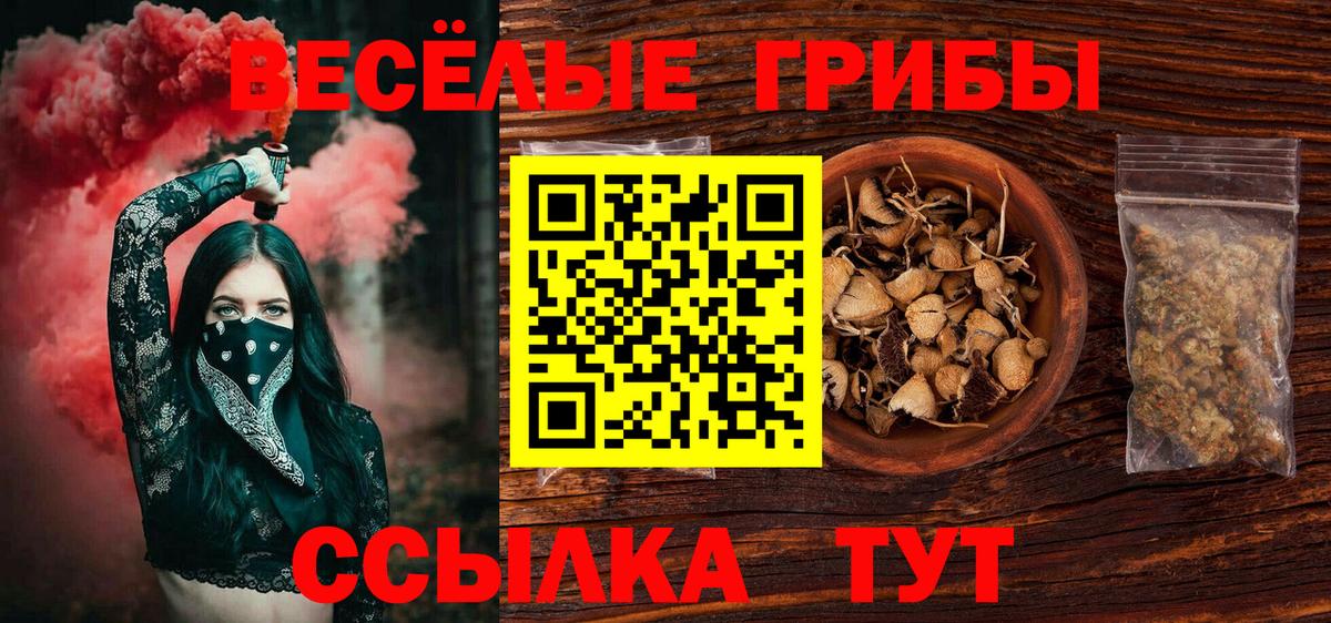 Псилоцибиновые грибы Psilocybe Нерюнгри