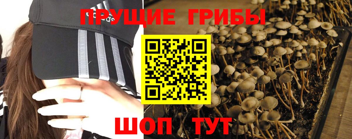 Нерюнгри  Галлюциногенные грибы Magic Shrooms  Вход с VPN 