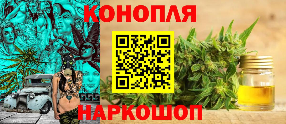 Нерюнгри  Шишки марихуана план  Каннабис VHQ  Канабис тримм  Каннабис OG Kush  Вход с VPN 